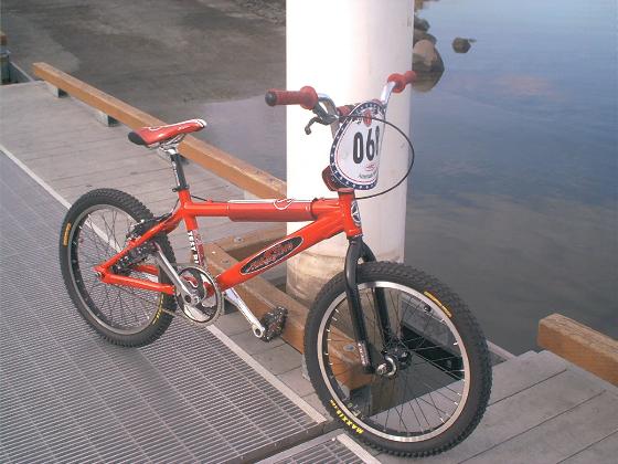 Schwinn sting deals pro
